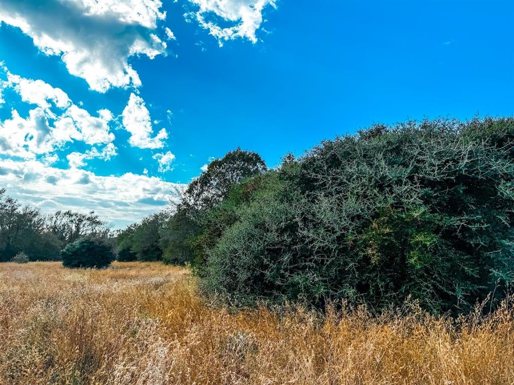 0000 County Road 237, Oakwood, Texas image 10