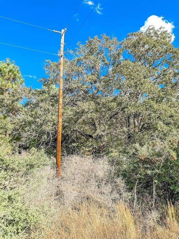 0000 County Road 237, Oakwood, Texas image 4