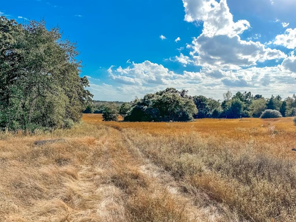 0000 County Road 237, Oakwood, Texas image 9