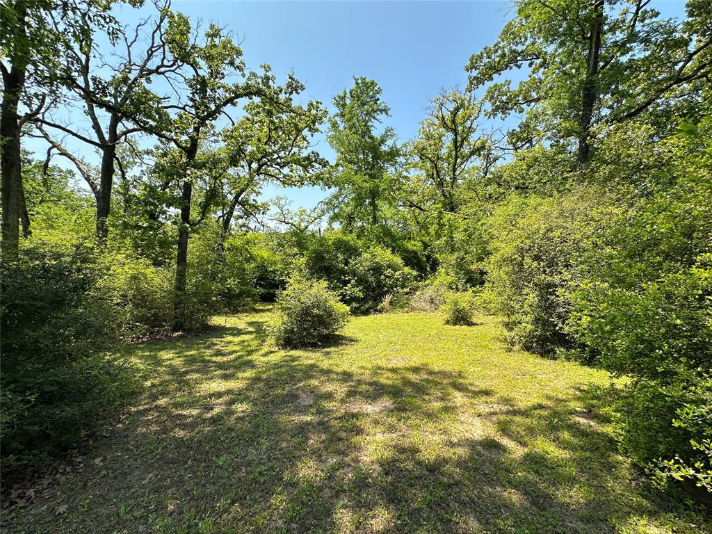 5325 County Road 2691, Buffalo, Texas image 25
