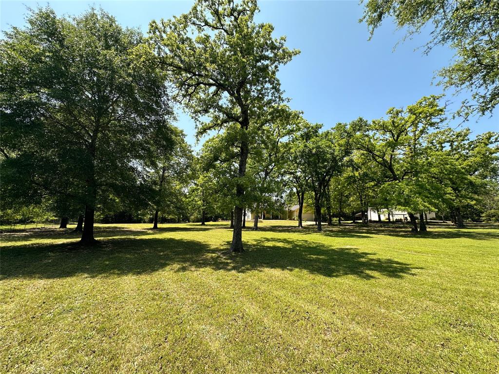 5325 County Road 2691, Buffalo, Texas image 23