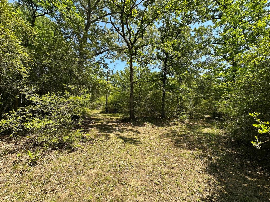 5325 County Road 2691, Buffalo, Texas image 26