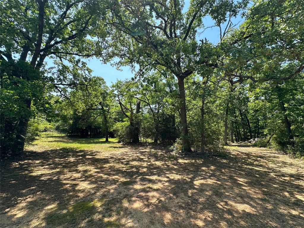 5325 County Road 2691, Buffalo, Texas image 30