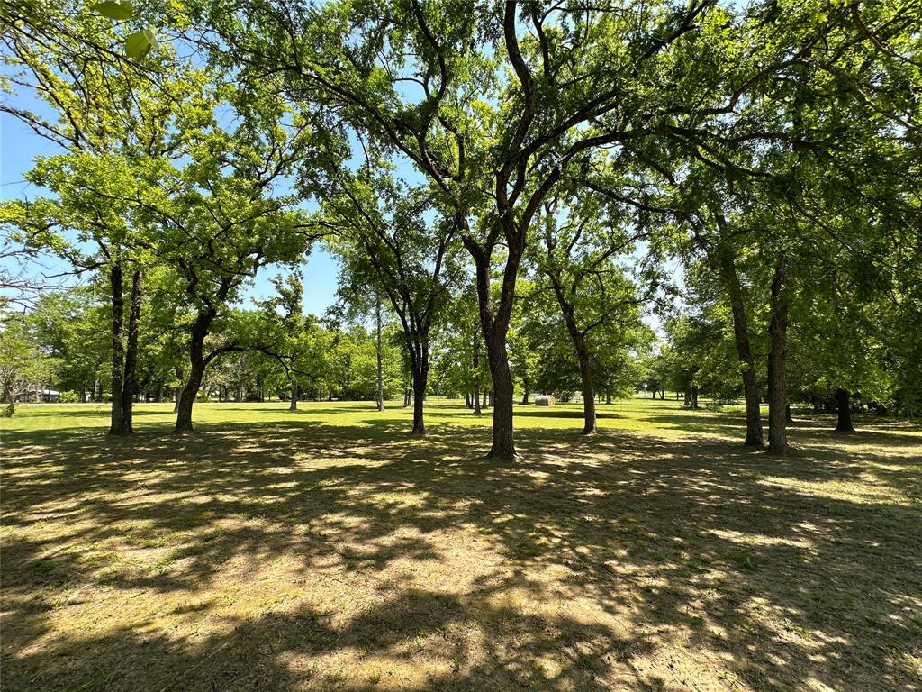 5325 County Road 2691, Buffalo, Texas image 5