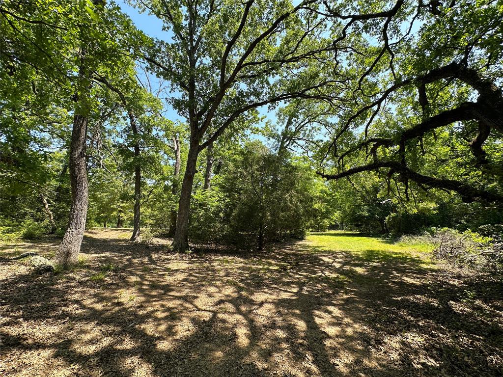 5325 County Road 2691, Buffalo, Texas image 27