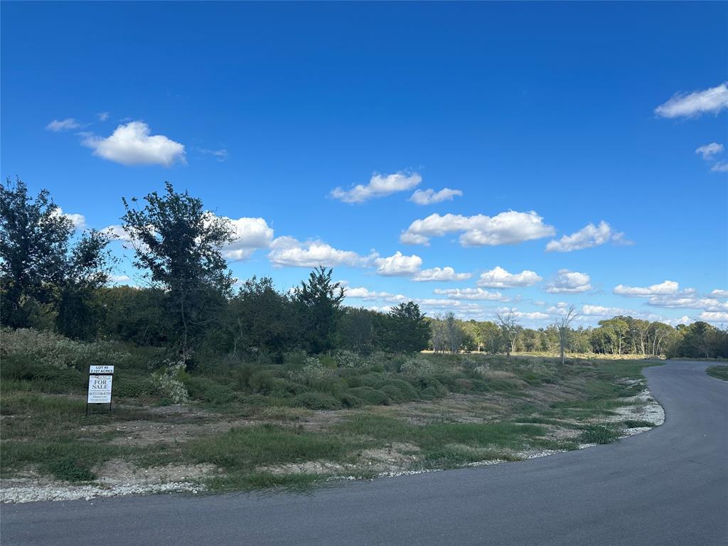 TBD Hidden Trail Lot 45, Chappell Hill, Texas image 12