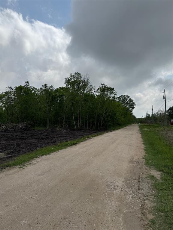 Schroeder Lane B, Alvin, Texas image 6