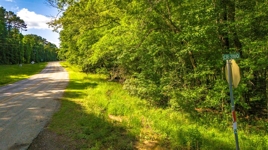 129 County Road 3160, Colmesneil, Texas image 40