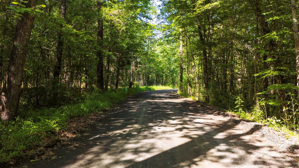 129 County Road 3160, Colmesneil, Texas image 35