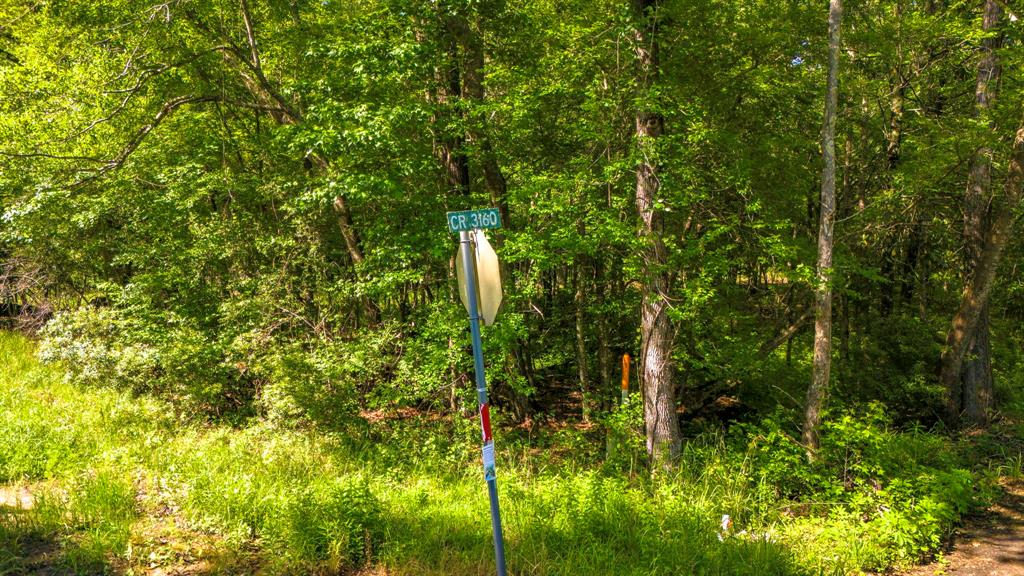 129 County Road 3160, Colmesneil, Texas image 39