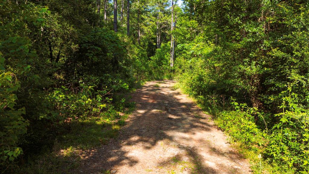 129 County Road 3160, Colmesneil, Texas image 32