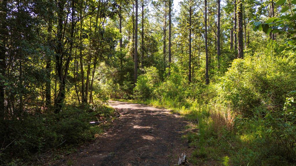 129 County Road 3160, Colmesneil, Texas image 34