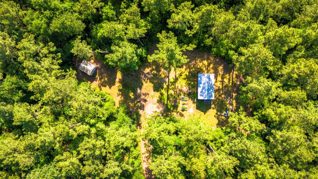 129 County Road 3160, Colmesneil, Texas image 27