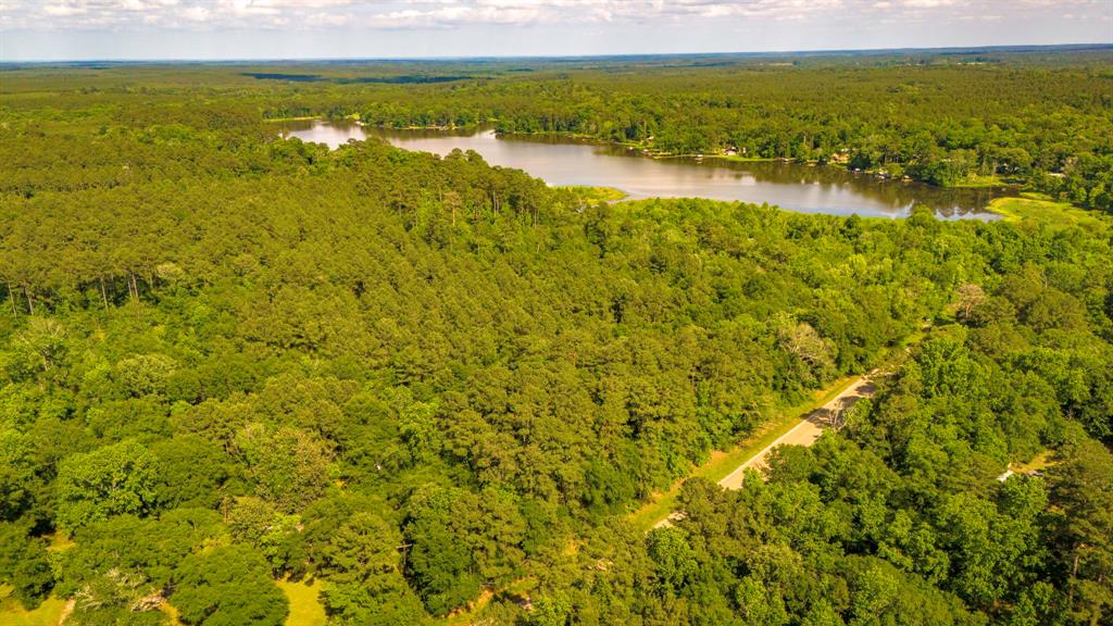 129 County Road 3160, Colmesneil, Texas image 29
