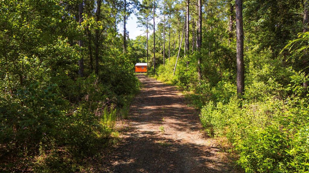 129 County Road 3160, Colmesneil, Texas image 33