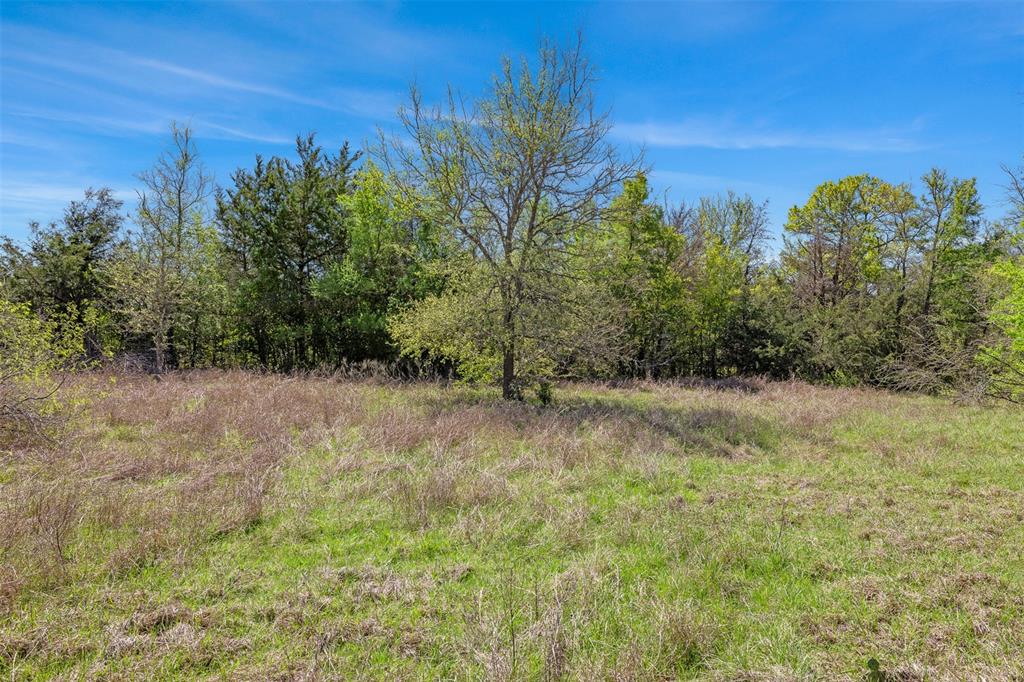 1078 Cr 407, Lexington, Texas image 28