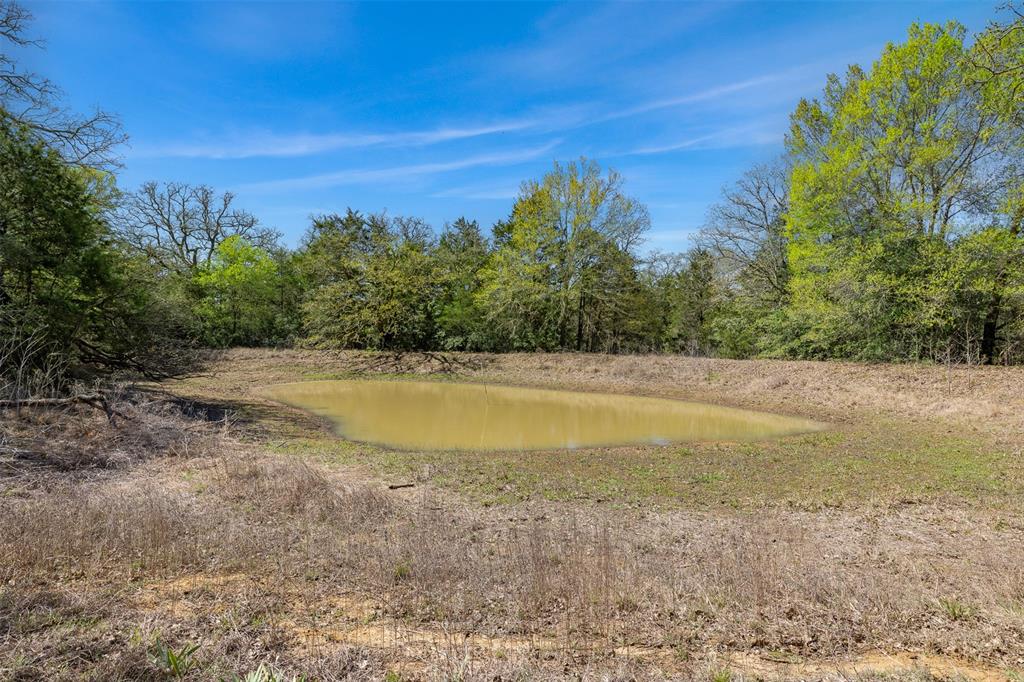 1078 Cr 407, Lexington, Texas image 19