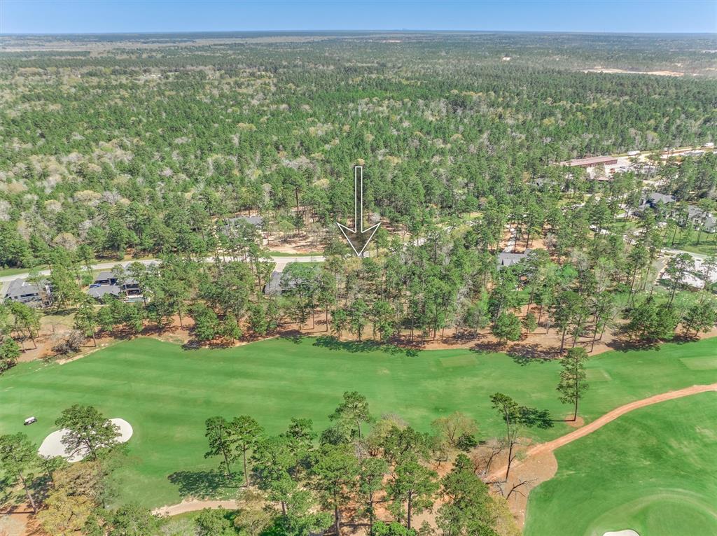 4451 Lily Bean Road, Montgomery, Texas image 18