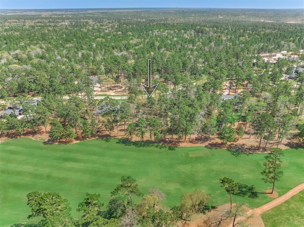 4451 Lily Bean Road, Montgomery, Texas image 23