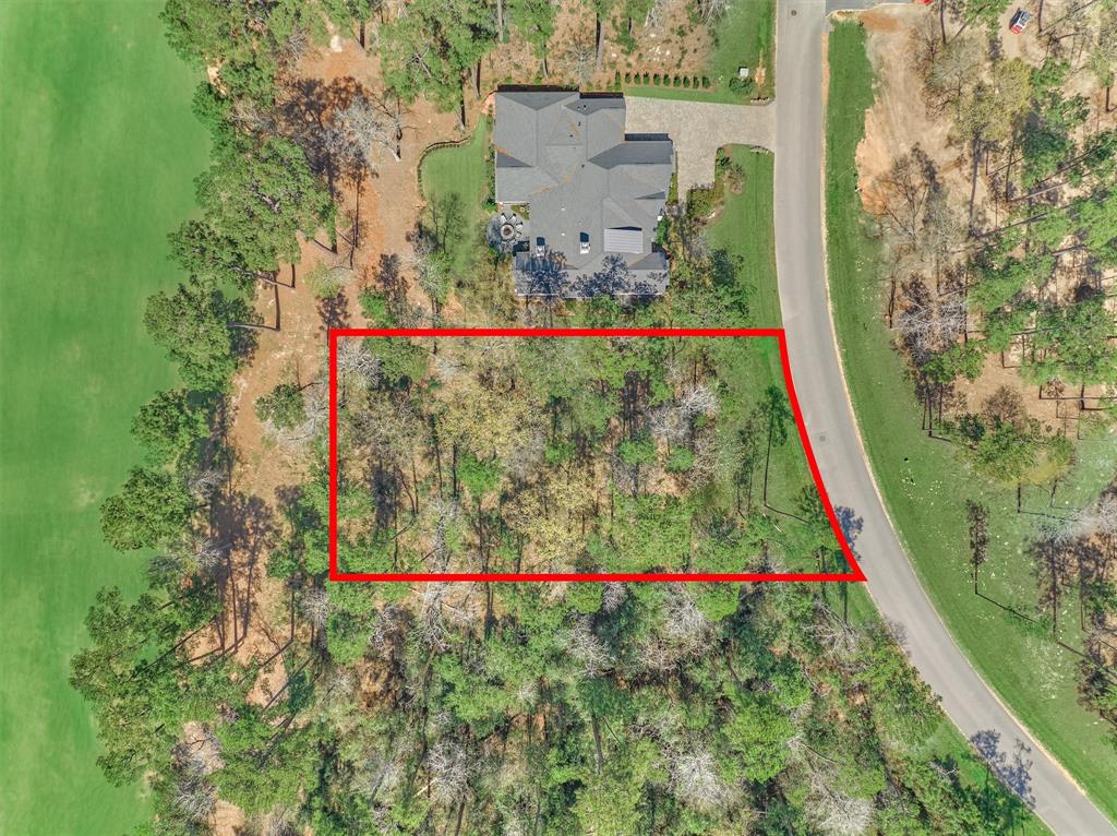 4451 Lily Bean Road, Montgomery, Texas image 25