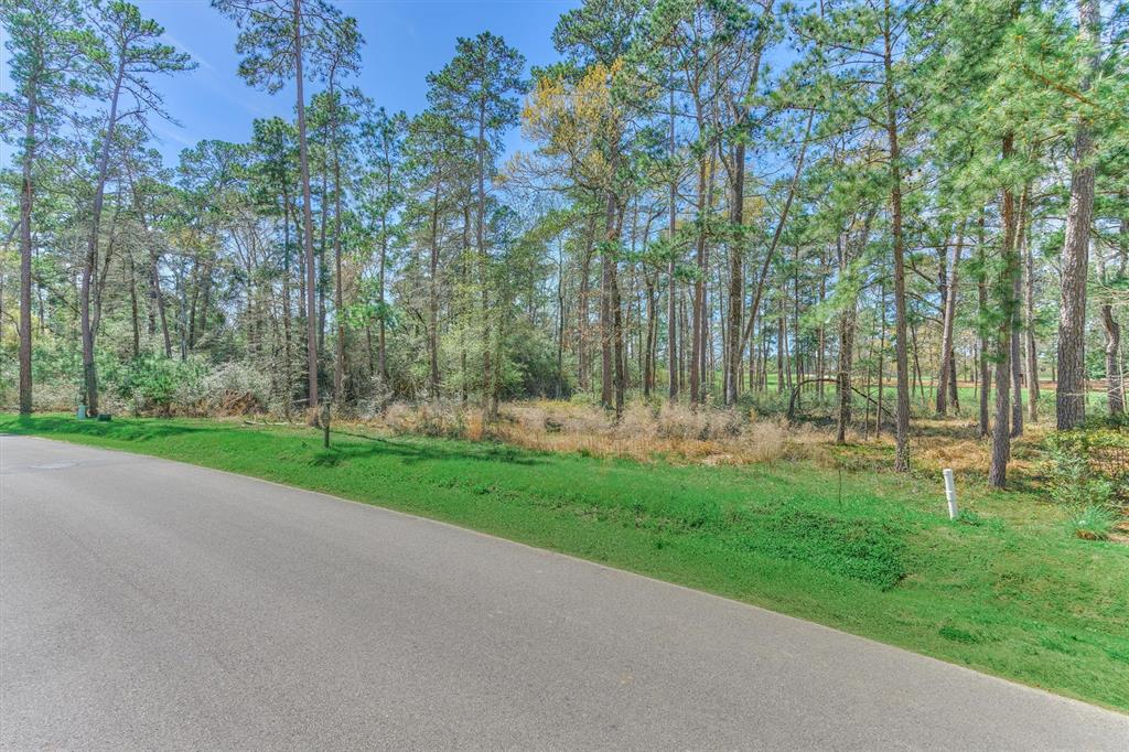 4451 Lily Bean Road, Montgomery, Texas image 27