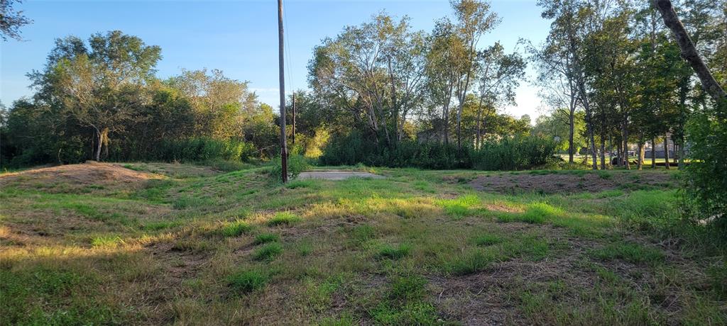 Whitetail Xing Crossing, Needville, Texas image 34