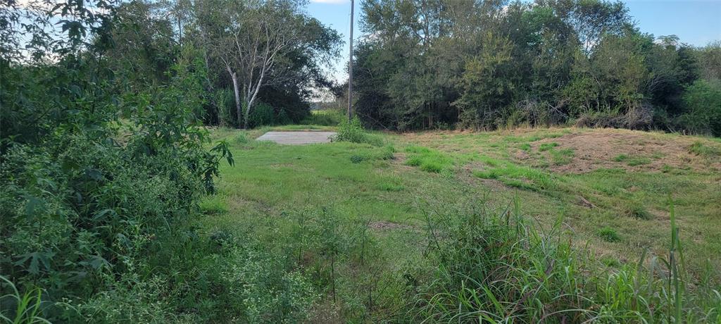 Whitetail Xing Crossing, Needville, Texas image 13