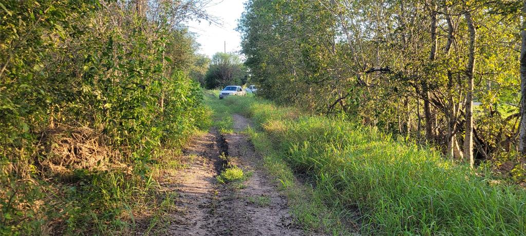 Whitetail Xing Crossing, Needville, Texas image 35