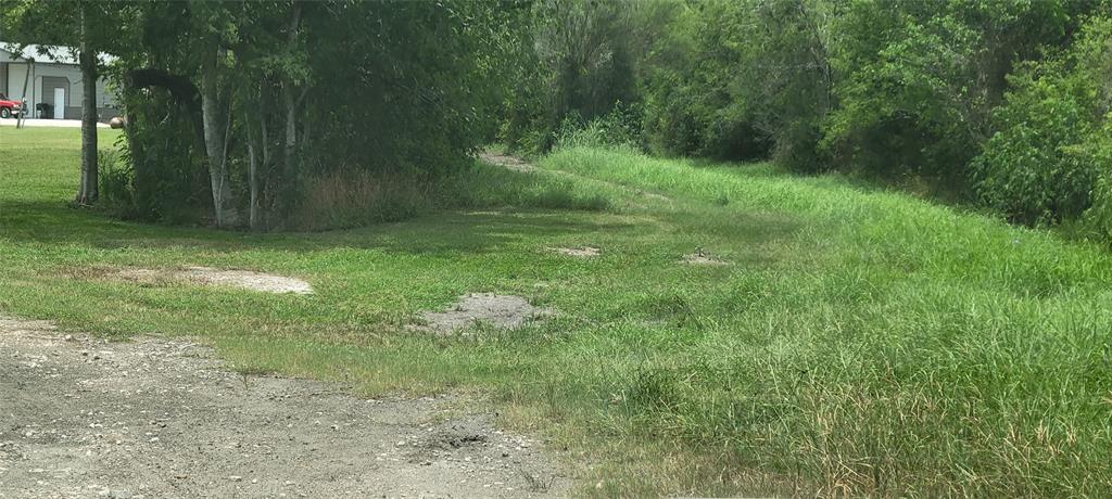 Whitetail Xing Crossing, Needville, Texas image 8