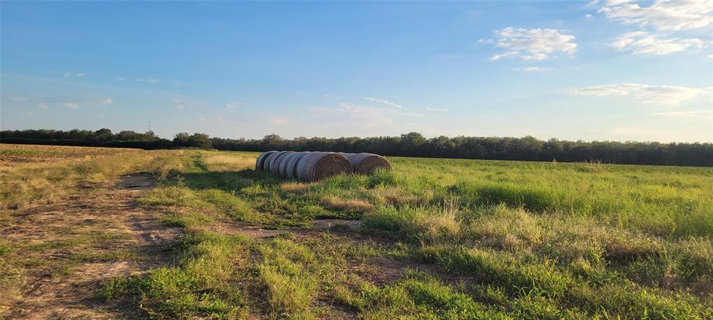 Whitetail Xing Crossing, Needville, Texas image 40