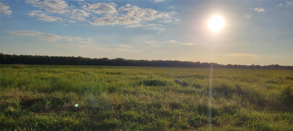 Whitetail Xing Crossing, Needville, Texas image 37