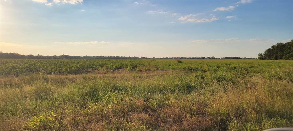 Whitetail Xing Crossing, Needville, Texas image 38