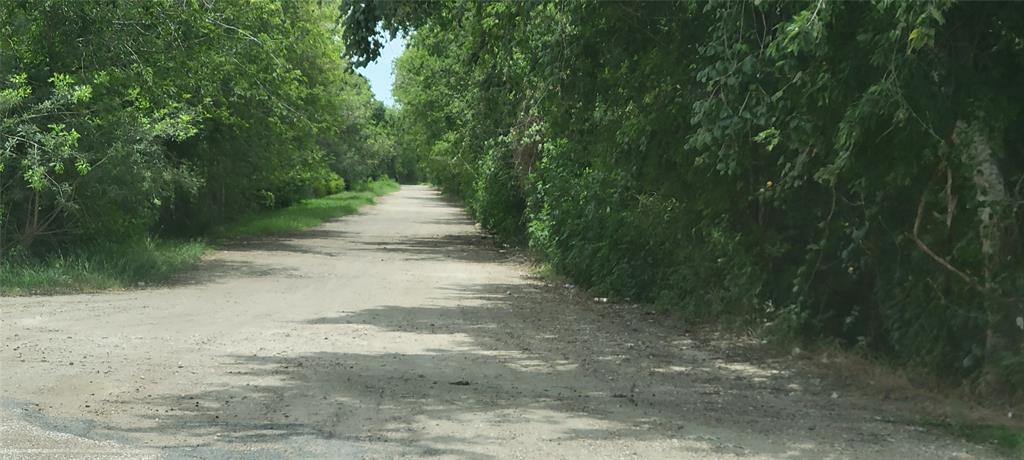 Whitetail Xing Crossing, Needville, Texas image 7