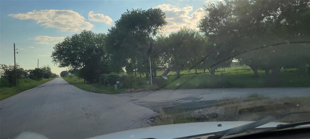 Whitetail Xing Crossing, Needville, Texas image 5