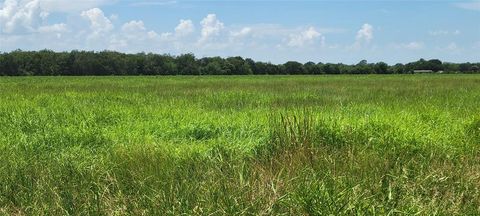 Vacant Land For Sale - Whitetail Xing Crossing<br/> Needville, TX 77461
