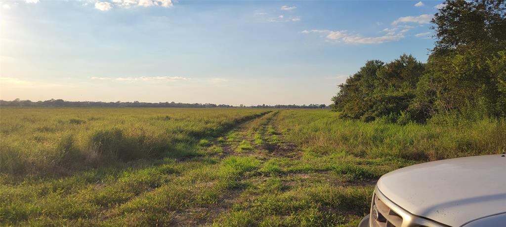 Whitetail Xing Crossing, Needville, Texas image 36