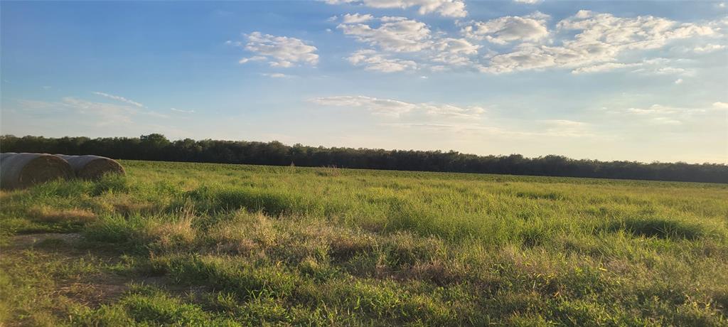 Whitetail Xing Crossing, Needville, Texas image 39