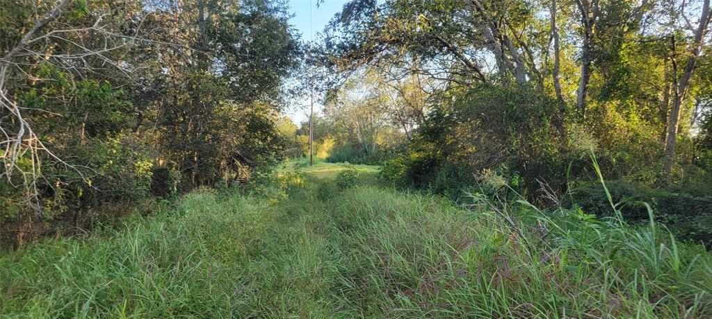 Whitetail Xing Crossing, Needville, Texas image 33