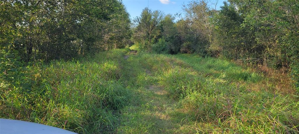 Whitetail Xing Crossing, Needville, Texas image 9