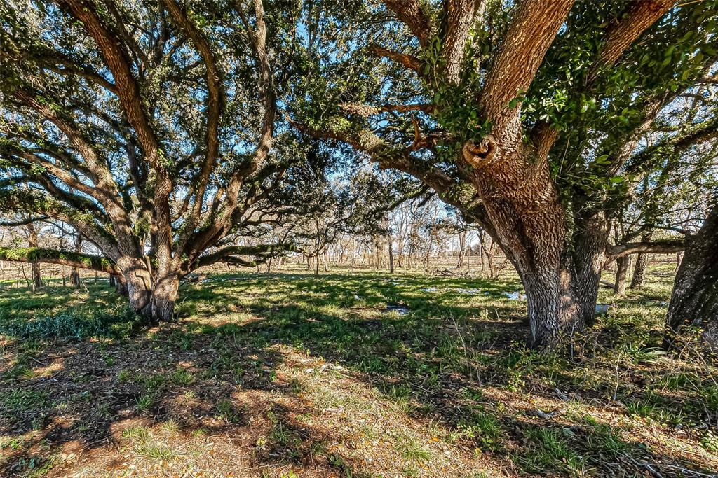 TBD 2 Dippel Road, Guy, Texas image 3