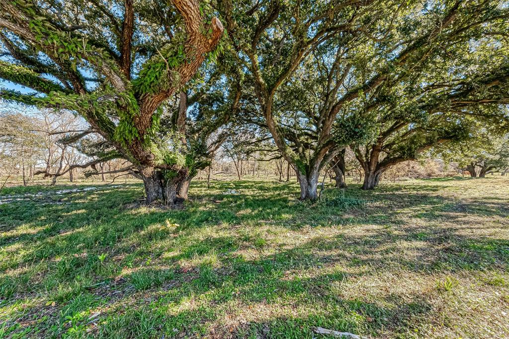 TBD 2 Dippel Road, Guy, Texas image 1