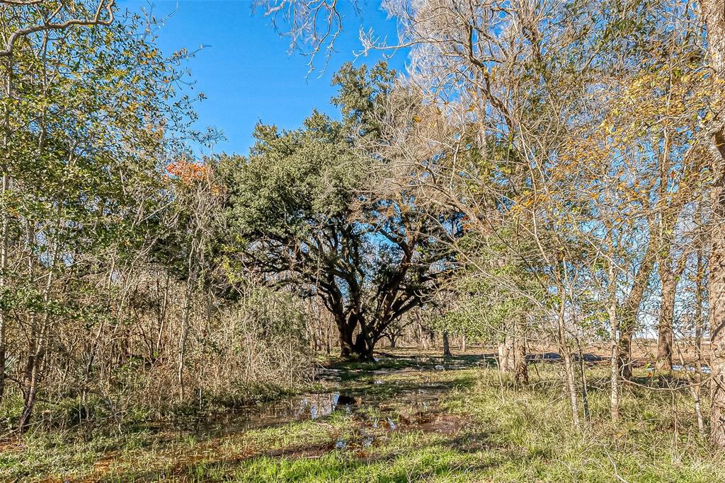 TBD 2 Dippel Road, Guy, Texas image 15