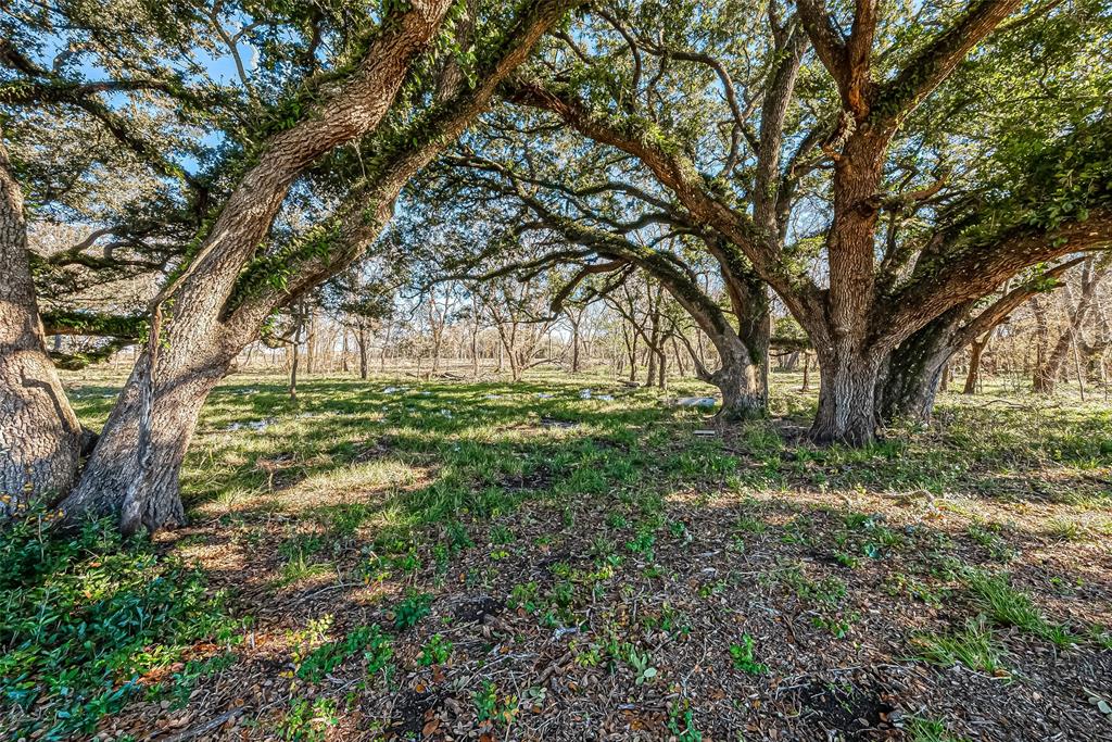 TBD 2 Dippel Road, Guy, Texas image 4