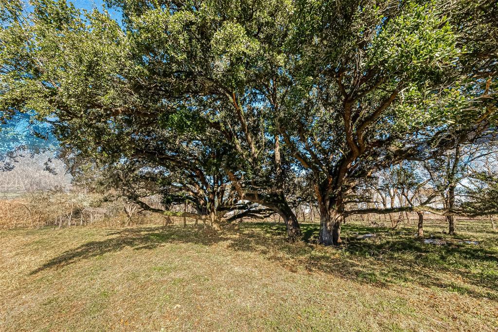 TBD 2 Dippel Road, Guy, Texas image 11