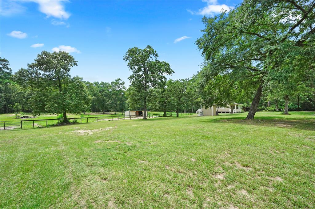 16120 Grandflower Road, Plantersville, Texas image 42