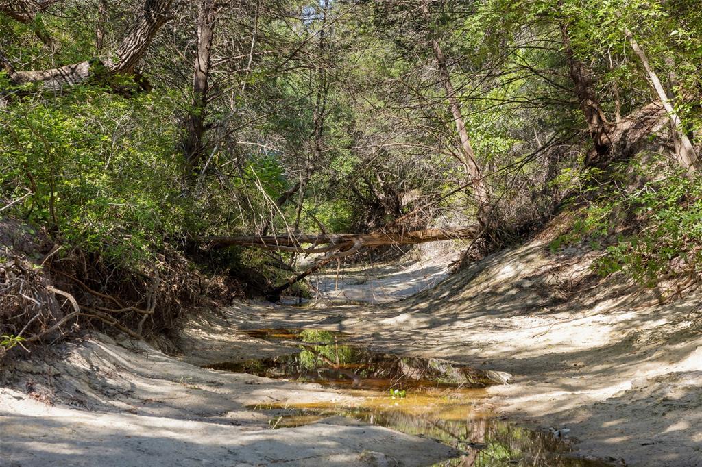 4431 Boulton Creek Rd Rd, Muldoon, Texas image 11