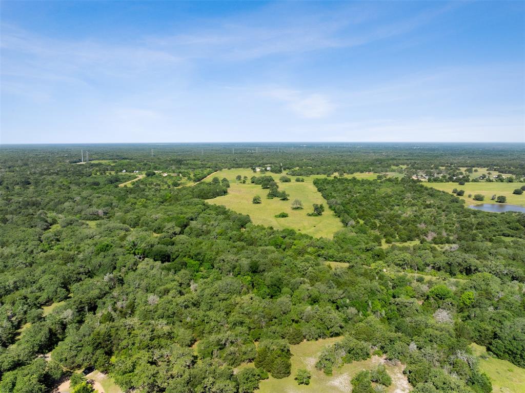 4431 Boulton Creek Rd Rd, Muldoon, Texas image 23