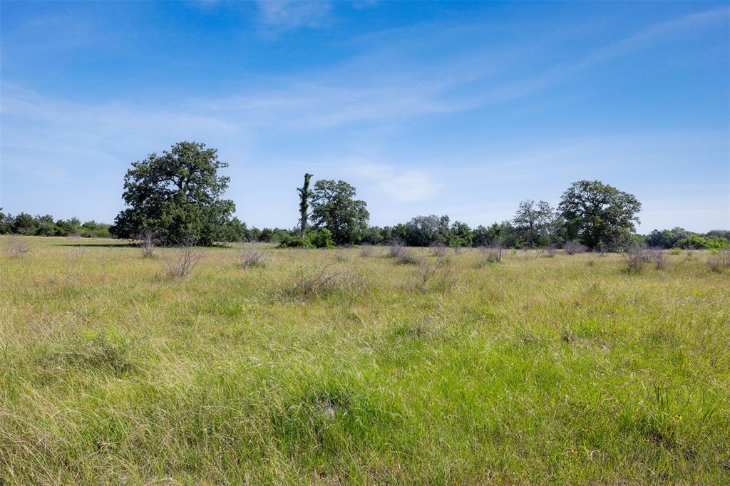 4431 Boulton Creek Rd Rd, Muldoon, Texas image 16