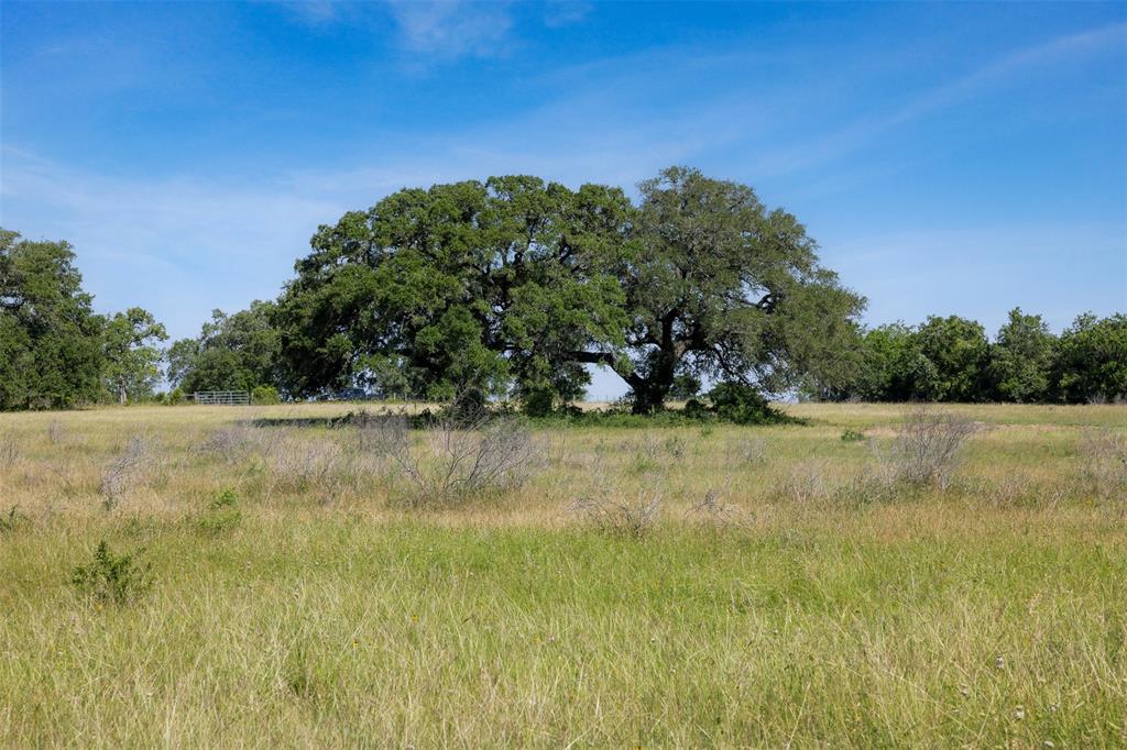 4431 Boulton Creek Rd Rd, Muldoon, Texas image 14