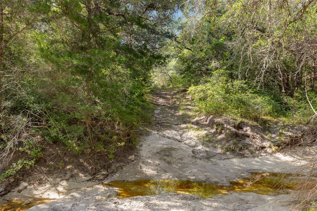 4431 Boulton Creek Rd Rd, Muldoon, Texas image 8